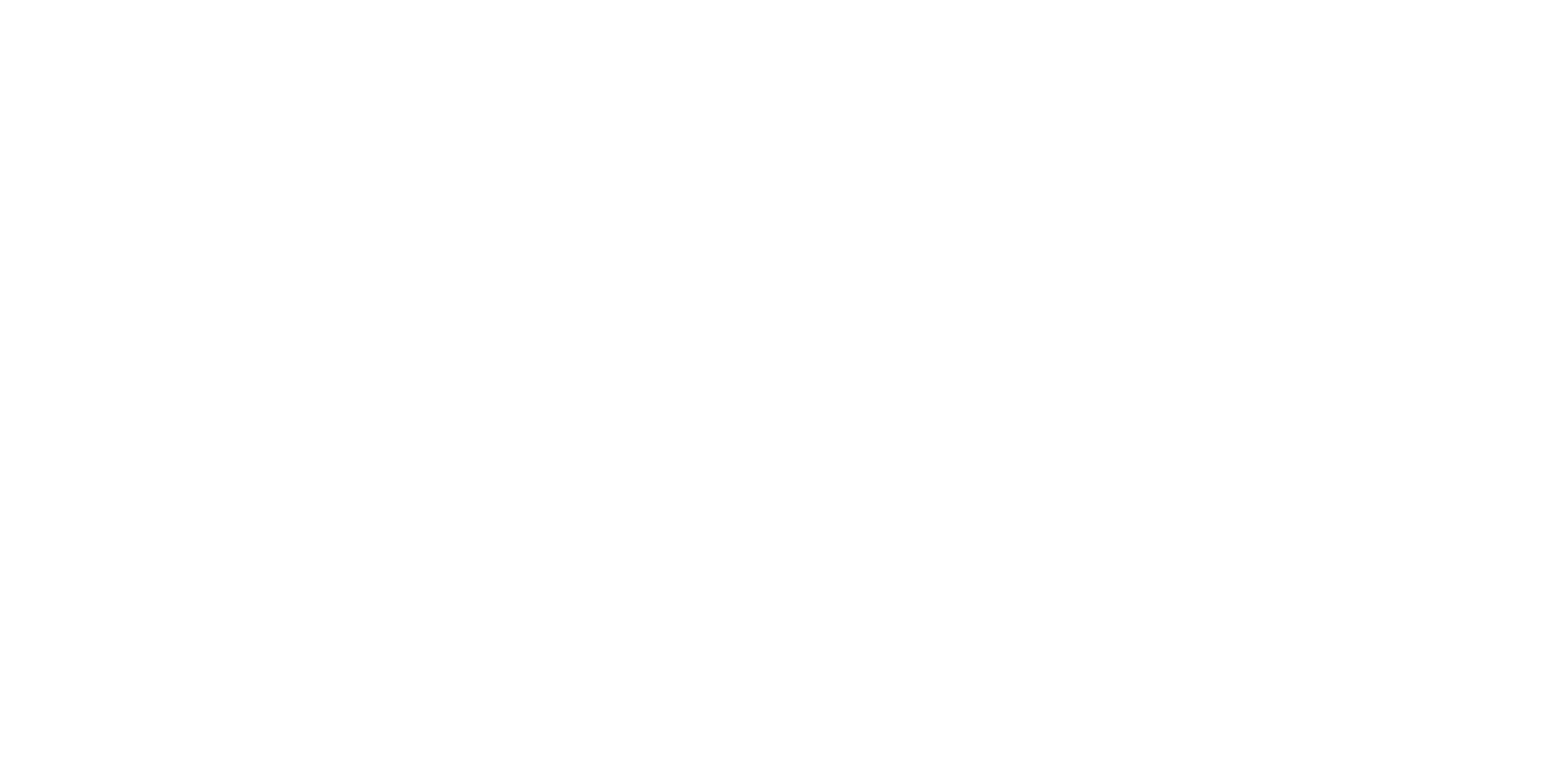 Steer Logo